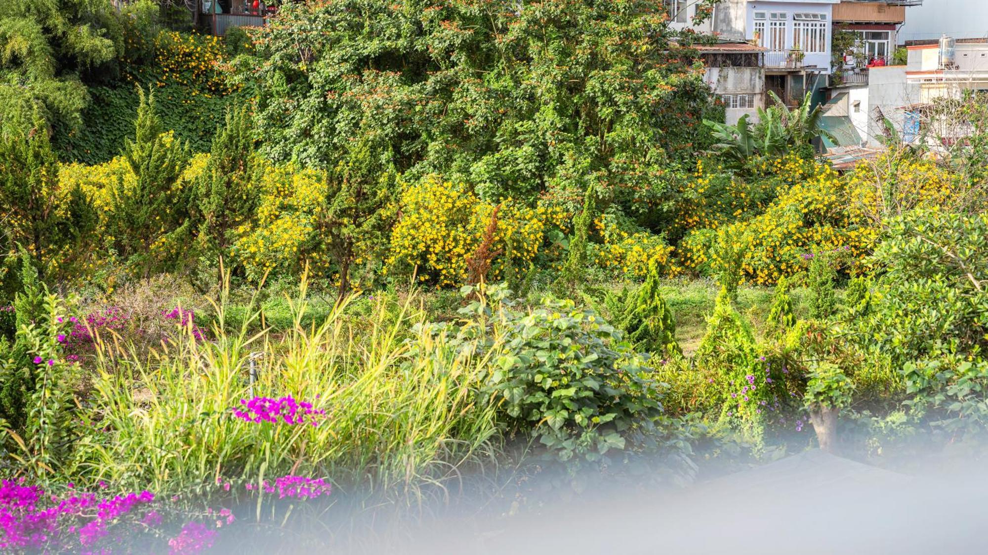 Nhat Minh Hotel Dalat エクステリア 写真